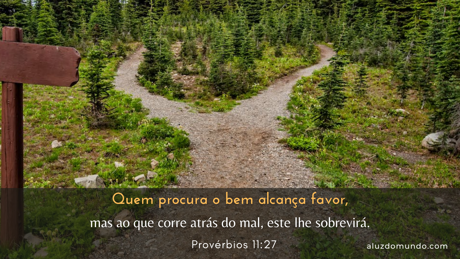 Provérbios 11.27