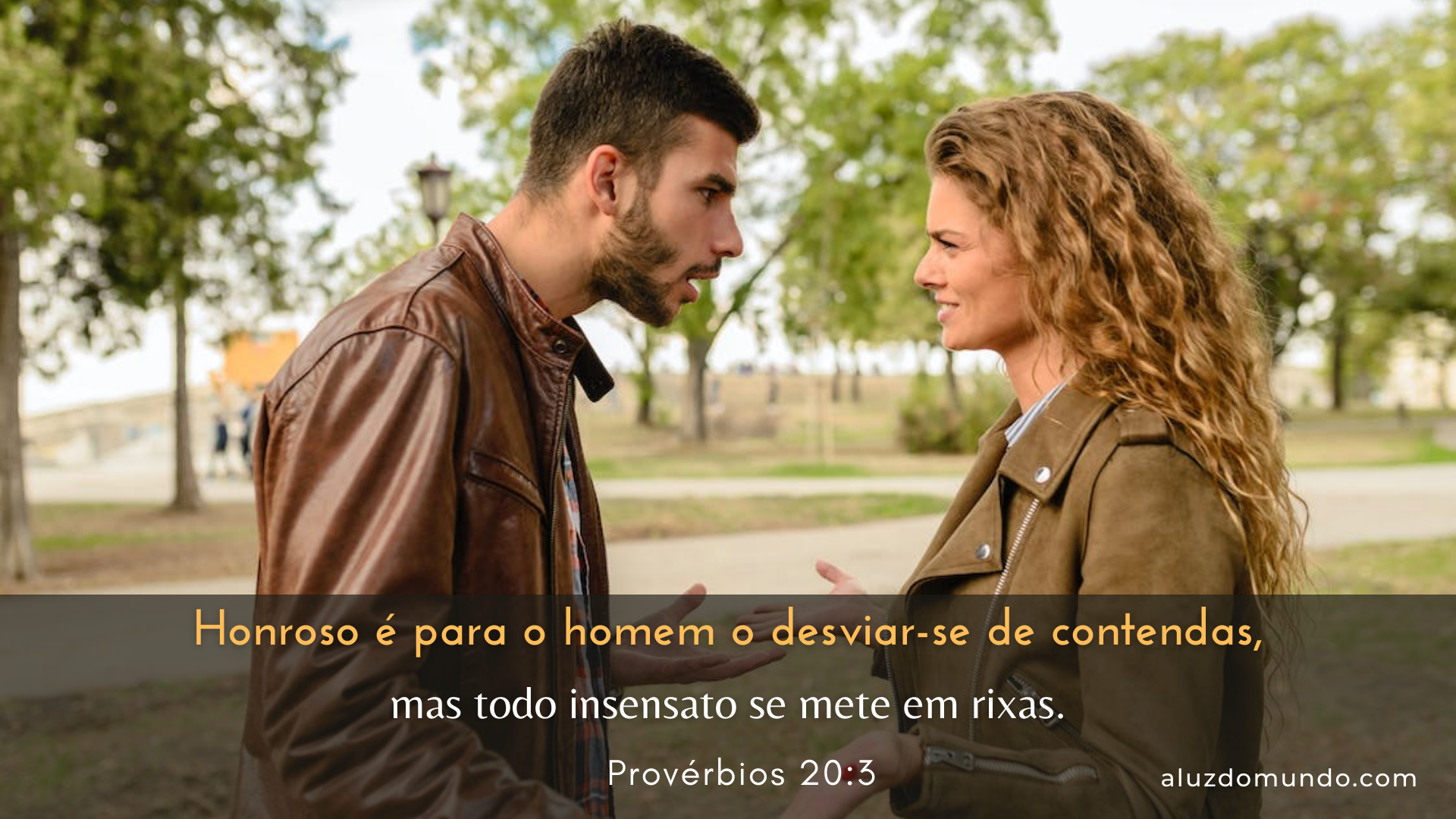 Provérbios 20.3